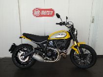 Motorrad kaufen Vorführmodell DUCATI 803 Scrambler (retro)