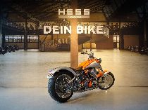 Motorrad kaufen Occasion HARLEY-DAVIDSON FXSTC 1340 Softail Custom (custom)