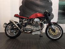 Motorrad kaufen Occasion MOTO GUZZI V11 Sport (sport)