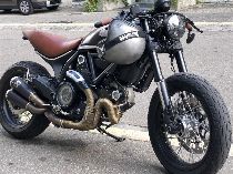 Motorrad kaufen Occasion DUCATI 803 Scrambler (retro)