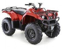 Motorrad kaufen Neufahrzeug YAMAHA Quad YFM 350 Bruin 2x4 (quad-atv-ssv)