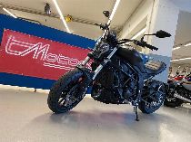 Motorrad kaufen Vorführmodell BENELLI 502C (naked)