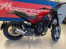  Motorrad kaufen Vorführmodell BENELLI Leoncino 500 (retro)