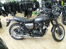 Motorrad kaufen Neufahrzeug KAWASAKI W 800 (retro)