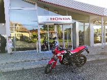 Motorrad kaufen Neufahrzeug HONDA CRF 1000 D Africa Twin Dual Clutch (enduro)