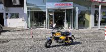Motorrad kaufen Neufahrzeug HONDA Z 125 MA Monkey (naked)