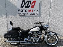 Motorrad kaufen Occasion YAMAHA XV 1600 Wild Star (custom)