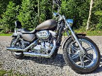 Motorrad kaufen Occasion HARLEY-DAVIDSON XLH 883 53C Sportster (custom)