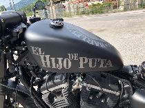 Motorrad kaufen Occasion HARLEY-DAVIDSON XL 883 N Iron (custom)