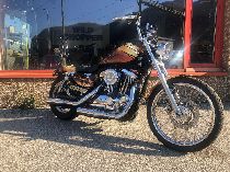 Motorrad kaufen Occasion HARLEY-DAVIDSON XL 1200 V Sportster Seventy-Two (custom)