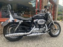 Motorrad kaufen Occasion HARLEY-DAVIDSON XL 1200 C Sportster Custom ABS (custom)
