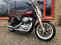Motorrad kaufen Occasion HARLEY-DAVIDSON XL 883 L Sportster Low ABS (custom)