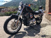 Motorrad kaufen Occasion HARLEY-DAVIDSON XL 883 Sportster (custom)