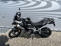 Motorrad kaufen Vorführmodell TRIUMPH Tiger 900 Rally Pro (enduro)