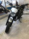 Motorrad kaufen Neufahrzeug SUZUKI SV 650 XA (naked)