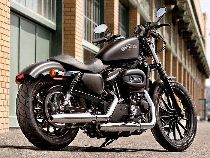 Motorrad Mieten & Roller Mieten HARLEY-DAVIDSON XL 883N Iron (Custom)