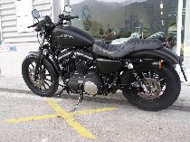 Aquista moto Occasioni HARLEY-DAVIDSON XL 883 N Iron (custom)