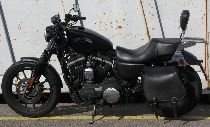 Motorrad kaufen Occasion HARLEY-DAVIDSON XL 883 N Iron (custom)