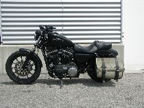 Motorrad kaufen Occasion HARLEY-DAVIDSON XL 883 N Iron ABS (custom)