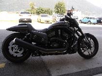 Aquista moto Occasioni HARLEY-DAVIDSON VRSCDX 1250 Night-Rod Special ABS (custom)