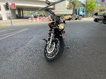 Motorrad kaufen Occasion YAMAHA XVS 650 Drag Star (custom)