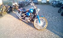 Motorrad kaufen Occasion HONDA VT 750 DC (custom)