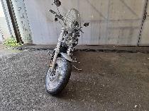 Motorrad kaufen Occasion HARLEY-DAVIDSON VRSCA 1130 V-Rod (custom)