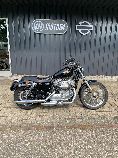 Motorrad kaufen Occasion HARLEY-DAVIDSON XL 883 L Sportster Low (custom)