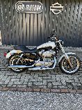 Motorrad kaufen Occasion HARLEY-DAVIDSON XL 883 L Sportster Low (custom)