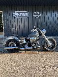 Motorrad kaufen Occasion HARLEY-DAVIDSON FLSTC 1340 Softail Heritage Classic (custom)