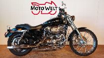 Motorrad kaufen Occasion HARLEY-DAVIDSON XL 1200 C Sportster Custom (custom)