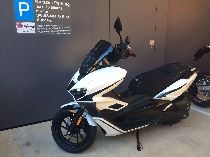 Motorrad kaufen Neufahrzeug OVER Alle (roller)