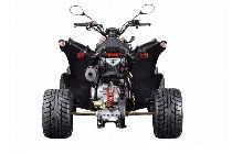 Motorrad kaufen Neufahrzeug AEON Cobra 400 (quad-atv-ssv)