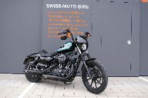 Motorrad kaufen Occasion HARLEY-DAVIDSON XL 1200 NS Sportster Iron (custom)