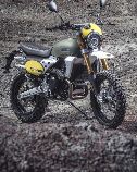 Motorrad kaufen Neufahrzeug FANTIC MOTOR Caballero 500 Flat Track (retro)