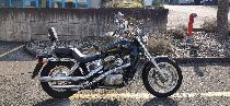 Motorrad kaufen Occasion HONDA VT 1100 C Shadow (custom)