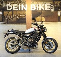 Motorrad kaufen Neufahrzeug YAMAHA XSR 700 XTribute (retro)