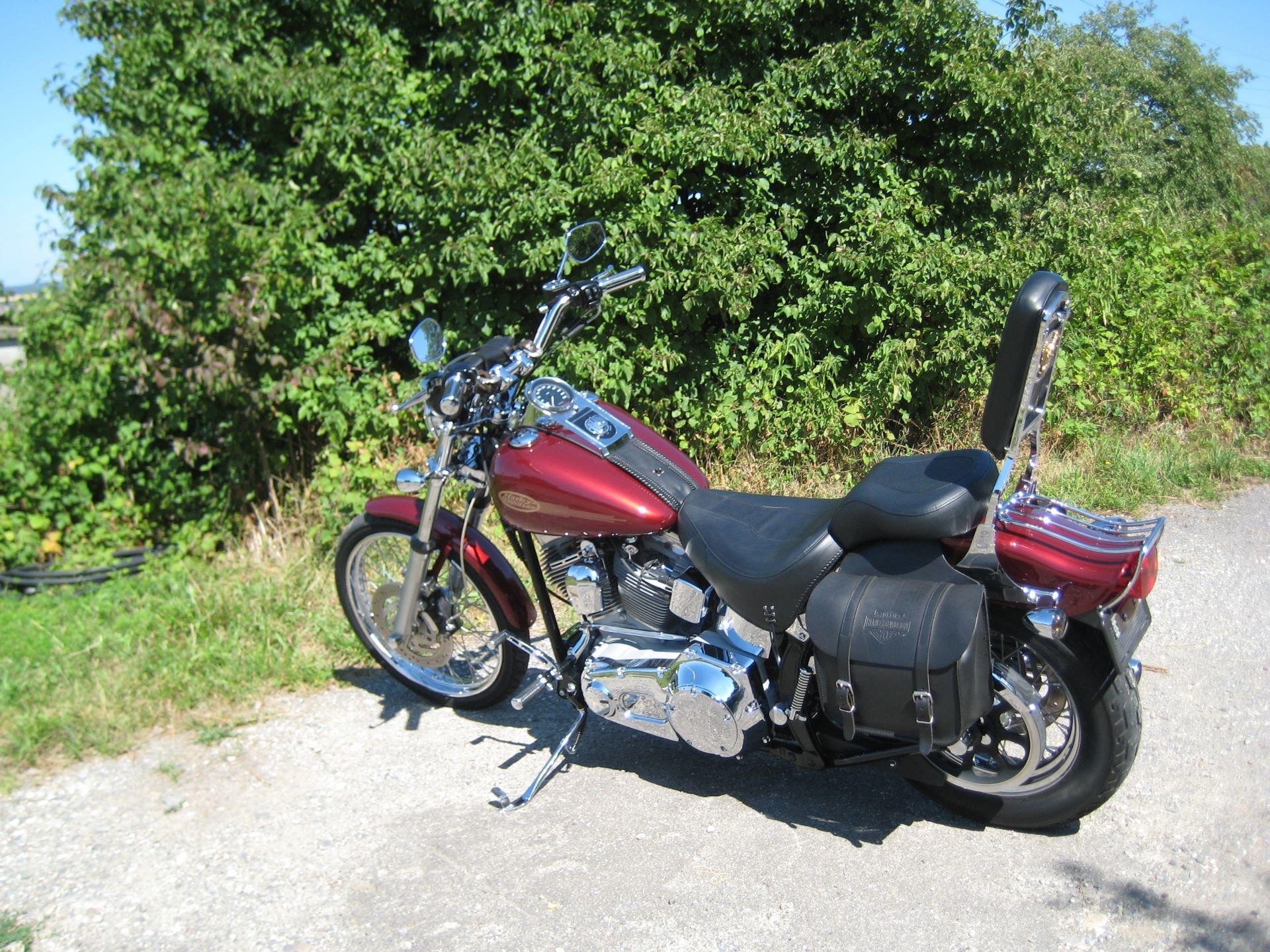 Harley Davidson Soft Tail Fsxt Custom Harley Davidson Soft Tail Fsxt Custom