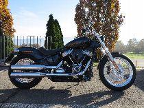 Motorrad kaufen Neufahrzeug HARLEY-DAVIDSON FXST 1745 Softail Standard (custom)