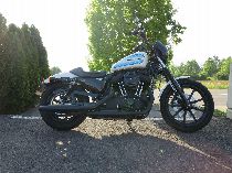 Motorrad kaufen Neufahrzeug HARLEY-DAVIDSON XL 1200 NS Sportster Iron (custom)
