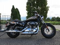 Motorrad kaufen Neufahrzeug HARLEY-DAVIDSON XL 1200 C Sportster Custom (custom)