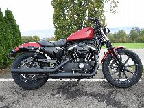 Motorrad kaufen Neufahrzeug HARLEY-DAVIDSON XL 883 N Sportster Iron (custom)