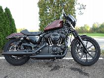 Motorrad kaufen Neufahrzeug HARLEY-DAVIDSON XL 1200 NS Sportster Iron (custom)