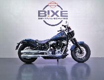 Motorrad kaufen Occasion HARLEY-DAVIDSON FLSL 1745 Softail Slim 107 (custom)