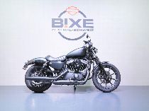 Motorrad kaufen Occasion HARLEY-DAVIDSON XL 883 N Sportster Iron (custom)