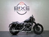 Motorrad kaufen Occasion HARLEY-DAVIDSON XL 883 N Iron (custom)