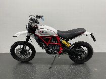 Aquista moto Occasioni DUCATI 803 Scrambler Desert Sled (retro)