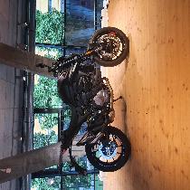 Motorrad kaufen Occasion DUCATI 950 Monster Plus (naked)