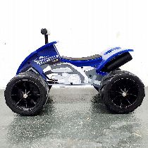 Motorrad kaufen Occasion YAMAHA Kinderquad YFM 700 R (quad-atv-ssv)