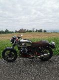 Motorrad kaufen Occasion MOTO GUZZI V7 Racer 25kW (retro)